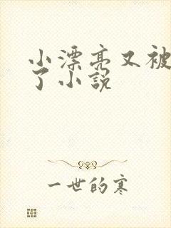 小漂亮又被欺负了小说封面