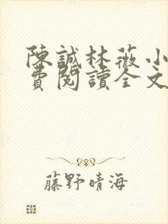 陈诚林薇小说免费阅读全文最新章节