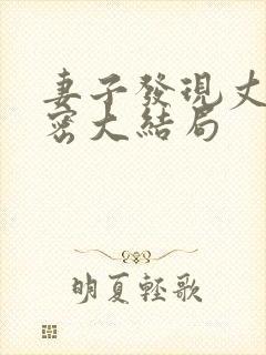 妻子发现丈夫秘密大结局封面