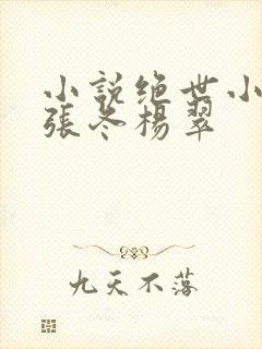 小说绝世小仙医张冬杨翠