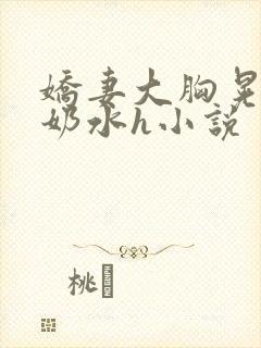 娇妻大胸晃着喷奶水h小说