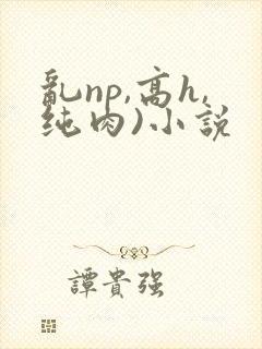 乱np,高h,纯肉)小说封面