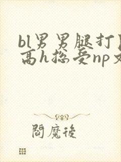 bl男男腿打开高h总受np文封面