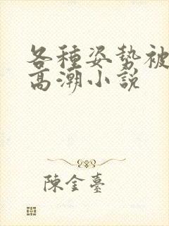 各种姿势被脔到高潮小说