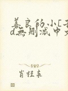 善良的小[子hd无删减中文