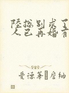 陆总别求了,夫人已再婚有娃了短剧免费观看