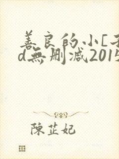 善良的小[子hd无删减2015封面