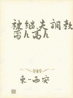 被继夫调教成禁脔h高h封面