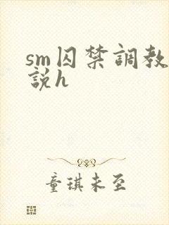 sm囚禁调教小说h