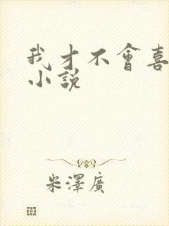 我才不会喜欢你小说