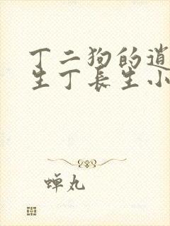 丁二狗的逍遥人生丁长生小说