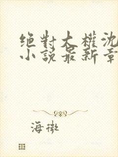 绝对大权沈向东小说最新章节更新时间