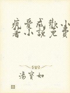 疯爱成欢小说原著小说免费阅读封面