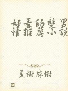 好看的双男主言情推荐小说