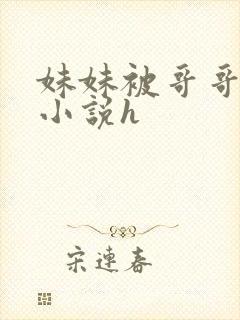 妹妹被哥哥干哭小说h