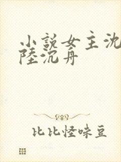 小说女主沈意欢陆沉舟