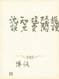 沈知砚陆栀夏小说免费阅读最新章节封面