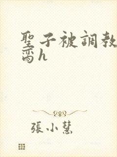 圣子被调教成禁脔h