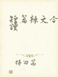 短篇辣文合集阅读