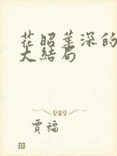花昭叶深的小说大结局