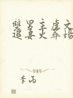 双男主虐文he追妻火葬场