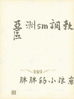 亚洲sm调教一区封面