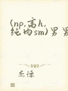 (np,高h,纯肉sm)男男