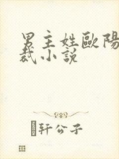 男主姓欧阳的总裁小说