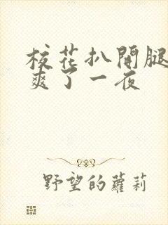 校花扒开腿让我爽了一夜