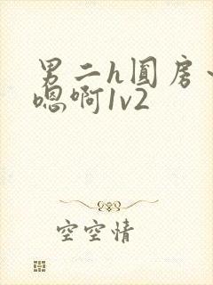 男二h圆房～h嗯啊1v2封面