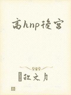 高hnp后宫