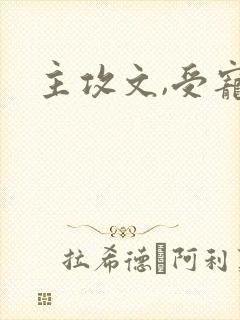 主攻文,受宠攻