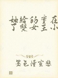 她给的实在太多了双女主小说封面