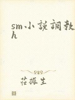 sm小说调教高h
