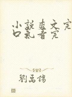 小说爽文完结一口气看完