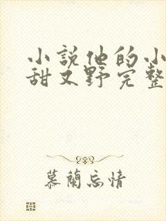 小说他的小祖宗甜又野完整版