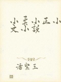 小柔小正小刚续文小说