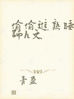 偷偷进熟睡的老师h文封面