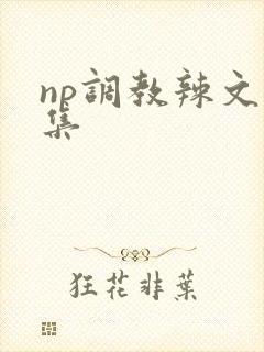 np调教辣文合集