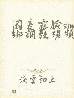 国产露脸sm捆绑调教视频