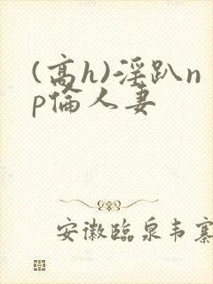 (高h)淫趴np伦人妻