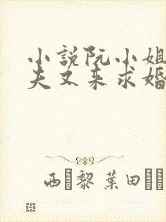 小说阮小姐的前夫又来求婚了