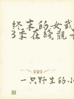 终末的女武神第3季在线观看