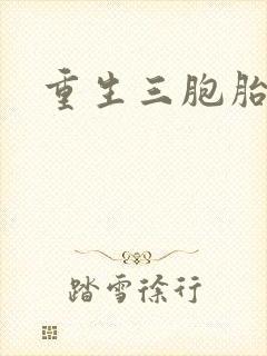 重生三胞胎小说