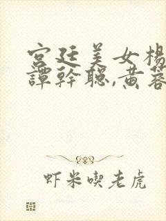 宫廷美女杨贵妃谭干聪,黄蓉版封面