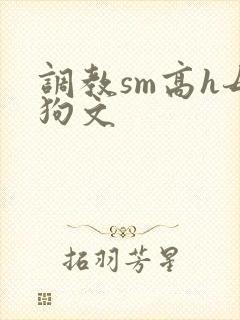 调教sm高h母狗文