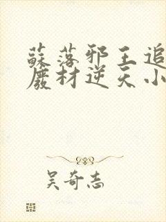 苏落邪王追妻:废材逆天小姐字数封面