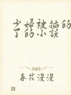 少妇被插的高潮了的小说