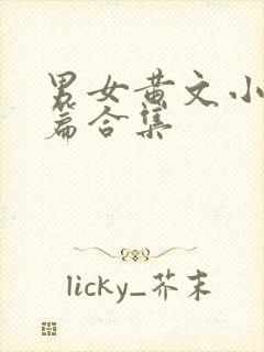 男女黄文小说短篇合集封面