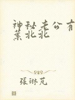 神秘老公有点坏叶北北